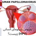 ویروس پاپیلومای انسانی (HPV) چیست؟