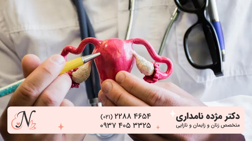 تصویر دهانه رحم سالم